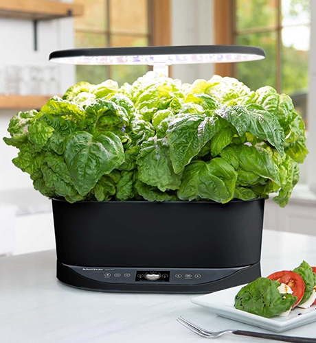 Bounty Basic Aero Garden 